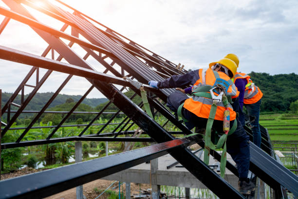Best Shingle Roofing Installation  in Clio, MI