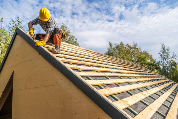 Best Roof Leak Repair  in Clio, MI