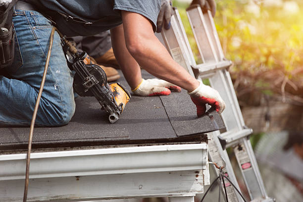 Best Shingle Roofing Installation  in Clio, MI