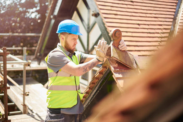 Best Roof Gutter Cleaning  in Clio, MI